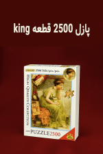 پازل 2500 قطعه (2952) KING