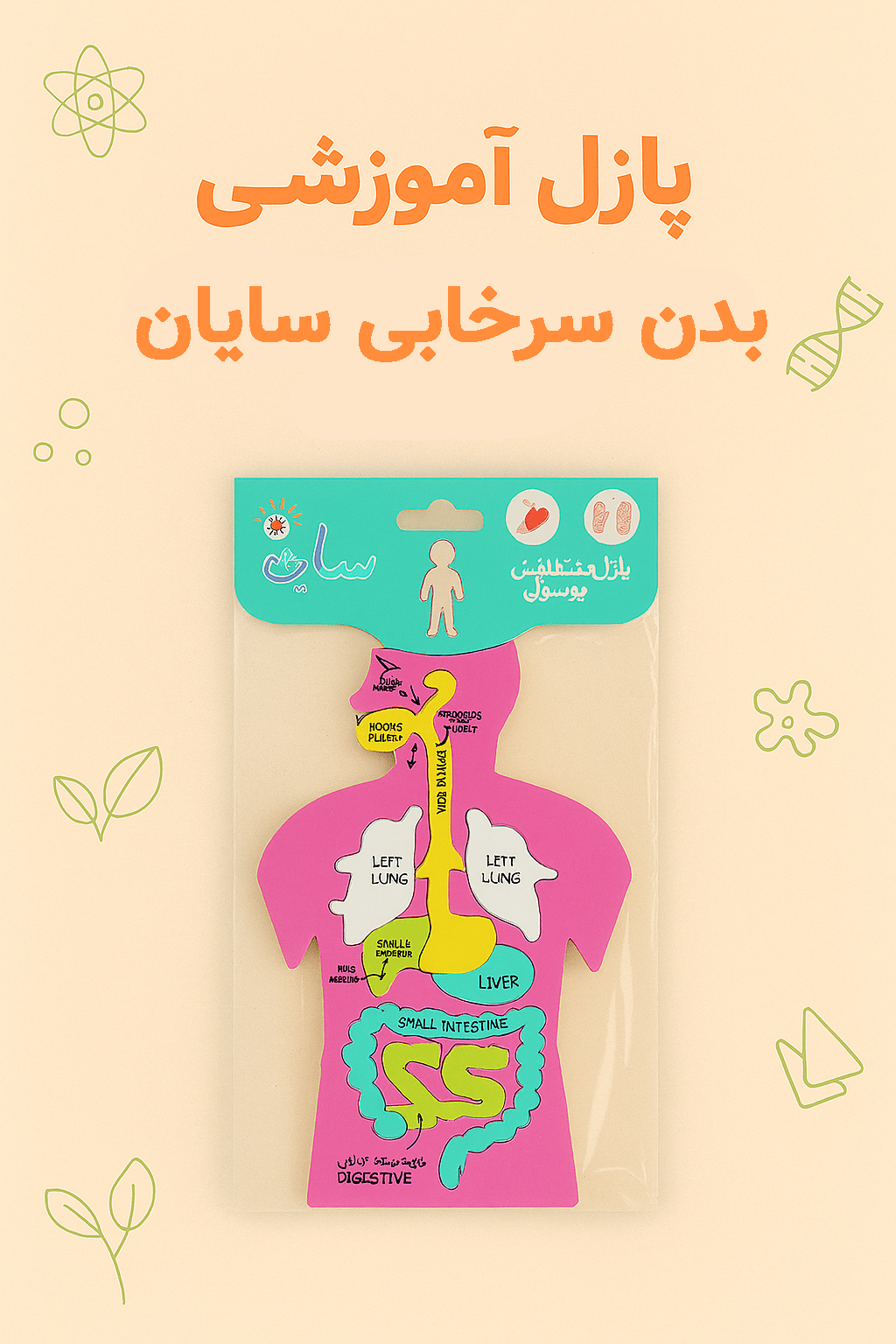 پازل بدن انسان سایان